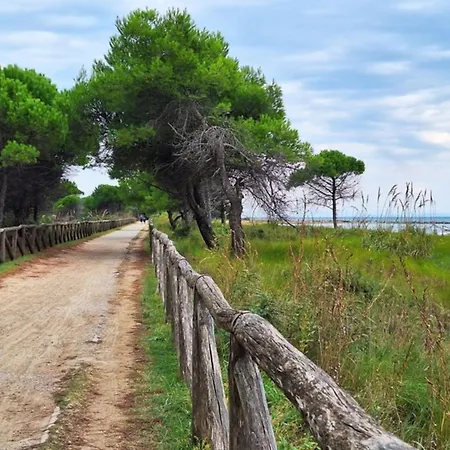 Lejlighed Flat With Sunny Balcony *