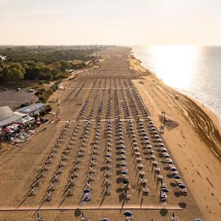 Flat With Sunny Balcony